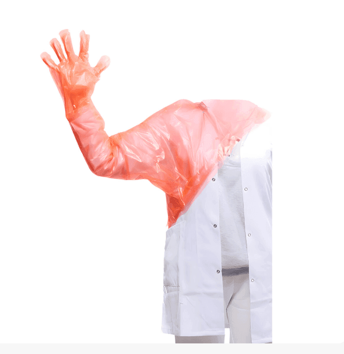 Omuz Korumalı Eldiven 50'li Paket